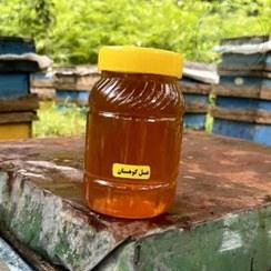 عسل کوهستان نیم کیلویی