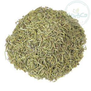 گیاه رزماری 50 گرمی
