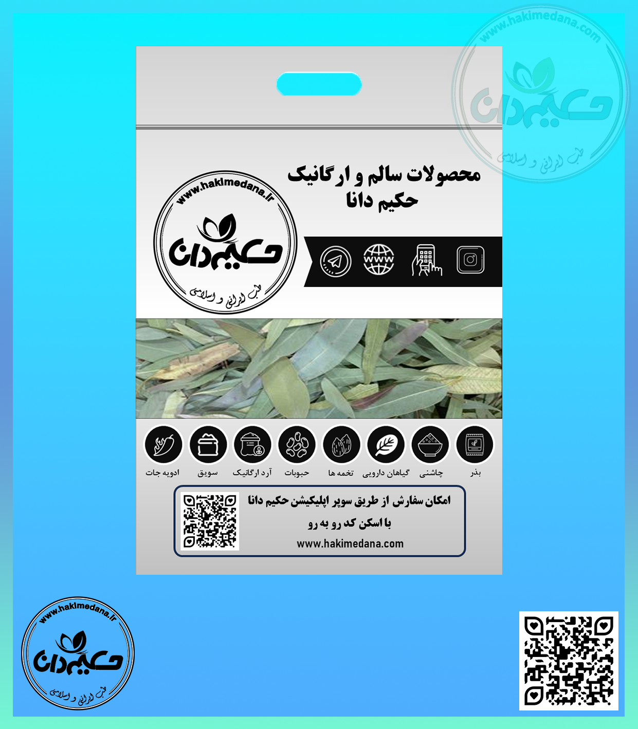گیاه اکالیپتوس 60 گرمی
