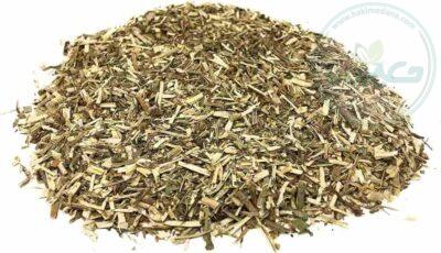 گیاه کاسنی 80 گرمی