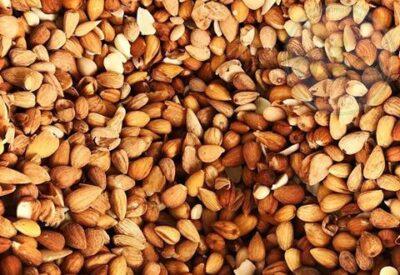 بادام شور کوهی 250 گرمی