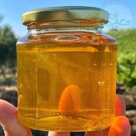 عسل کوهی یک کیلویی درپوشدار