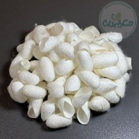 پیله ابریشم طبیعی