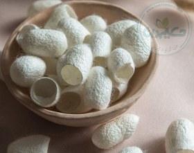 پیله ابریشم طبیعی