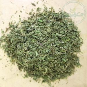 گیاه پونه 24 گرمی