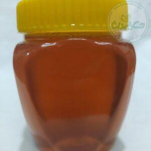 عسل کوهستان یک کیلویی
