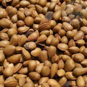 بادام شور کوهی 250 گرمی