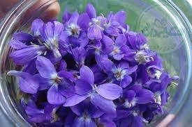 گل بنفشه 30 گرمی