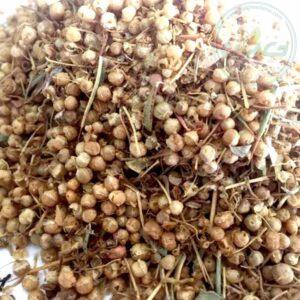 گیاه افتیمون 80 گرمی