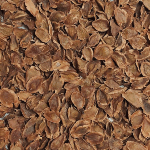 گیاه گل ریواس 50گرمی
