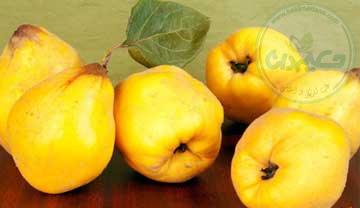 به دانه 30 گرمی