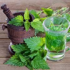 عرق گزنه گواه