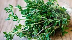 عسل آویشن یک کیلویی درپوشدار