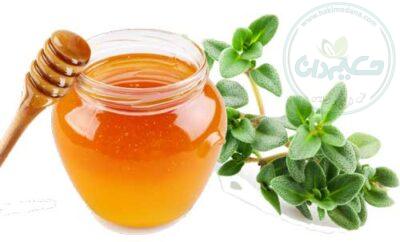 عسل آویشن یک کیلویی درپوشدار