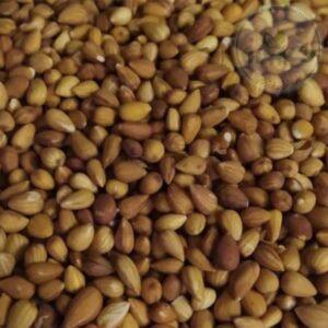 بادام شور کوهی 250 گرمی