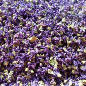 گیاه پنیرک 40 گرمی