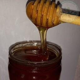 عسل آویشن نیم کیلویی