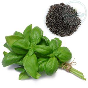 تخم ریحان 50 گرمی