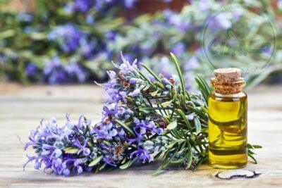 روغن رزماری اکسیر