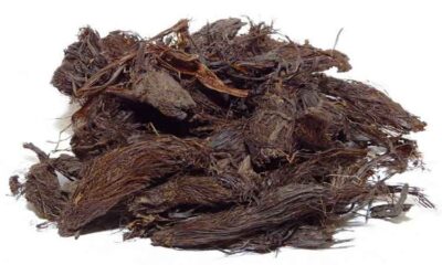 سنبل الطیب 40 گرمی