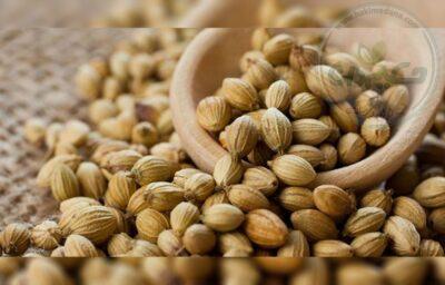 تخم گشنیز 35 گرمی