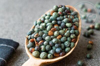 پسته کوهی (بنه)