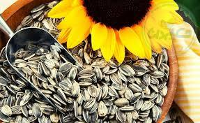 روغن آفتابگردان اصل