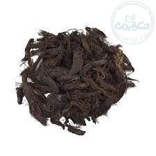 سنبل الطیب