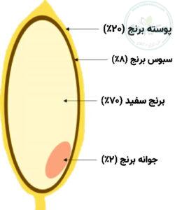 آرد سبوس برنج