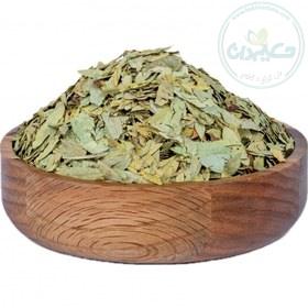گیاه برگ سنا