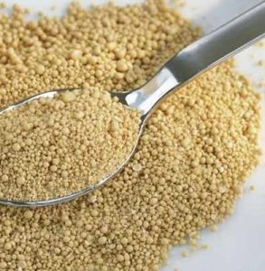 خمیرمایه خشک فعال فوری
