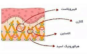 کلاژن سازی طبیعی پوست