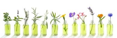 رایحه‌درمانی؛ سفری شفابخش با عطر طبیعت
