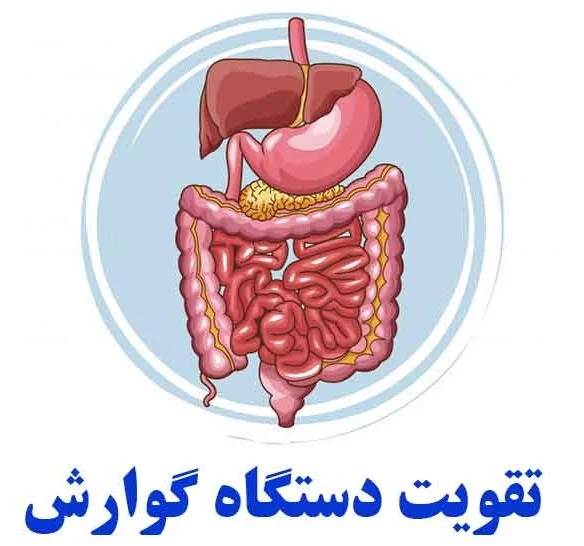 تقویت گوارش و کبد